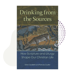 A book cover of Drinking from the Sources.