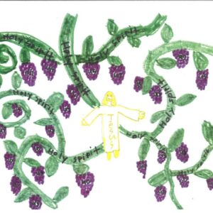 A drawing of a vine with grapes on it.